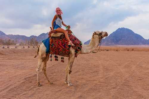 9 Days Cairo, Luxor & Sharm El Sheikh